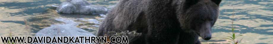 www.davidandkathryn.com Rotating Header Image